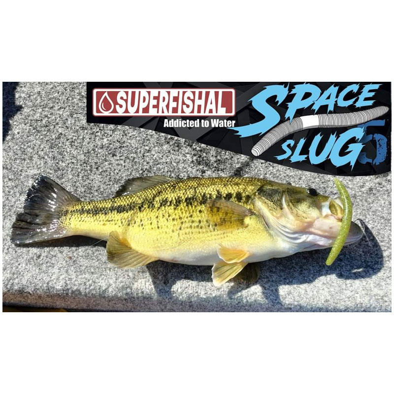 SuperFishal Space Slug F Gold Pearl-3