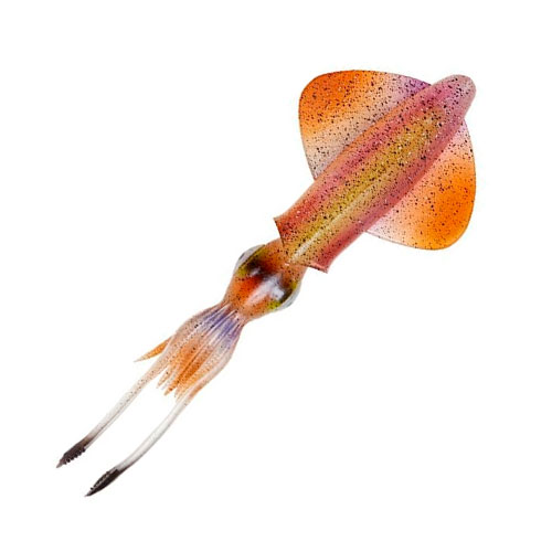 Savage Gear 3D Swim Squid 18 cm Horny Squid