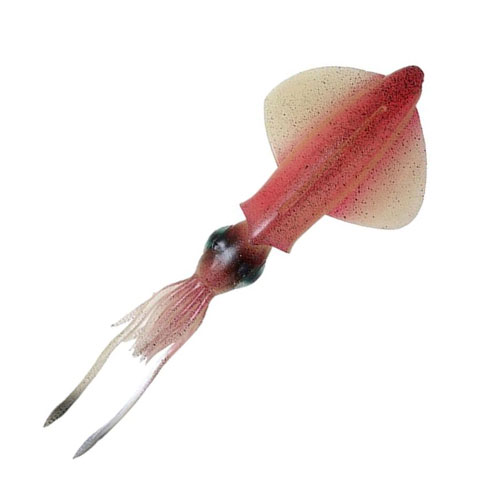 Savage Gear 3D Swim Squid 25 cm Pink Glow